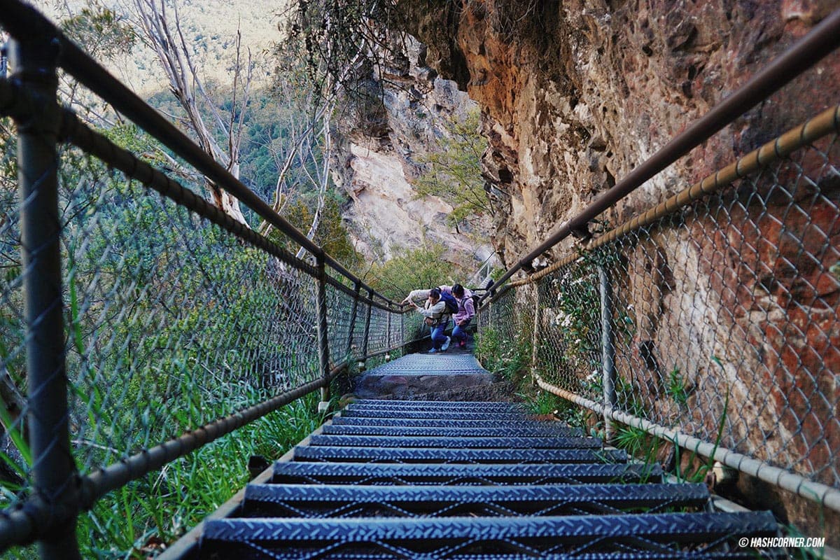 รีวิว Blue Mountains x ซิดนีย์ : เที่ยวออสเตรเลียเองแบบคูลๆ