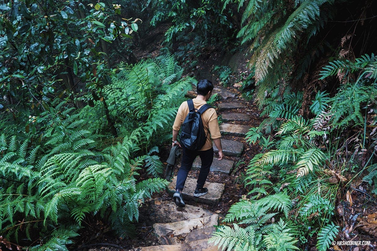 รีวิว Blue Mountains x ซิดนีย์ : เที่ยวออสเตรเลียเองแบบคูลๆ