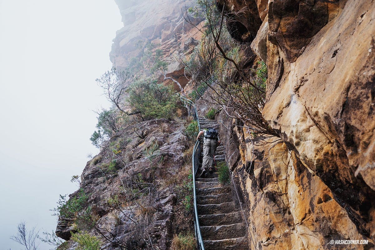 รีวิว Blue Mountains x ซิดนีย์ : เที่ยวออสเตรเลียเองแบบคูลๆ