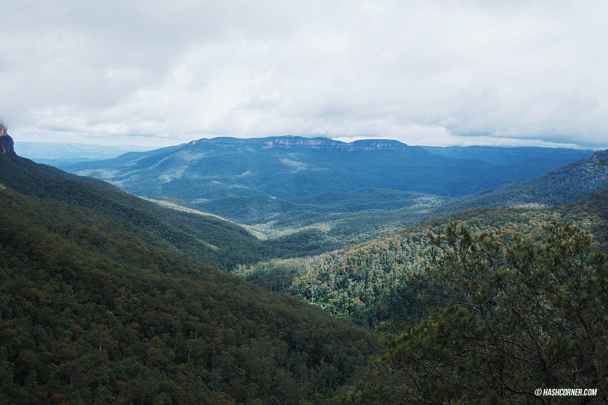 รีวิว Blue Mountains x ซิดนีย์ : เที่ยวออสเตรเลียเองแบบคูลๆ