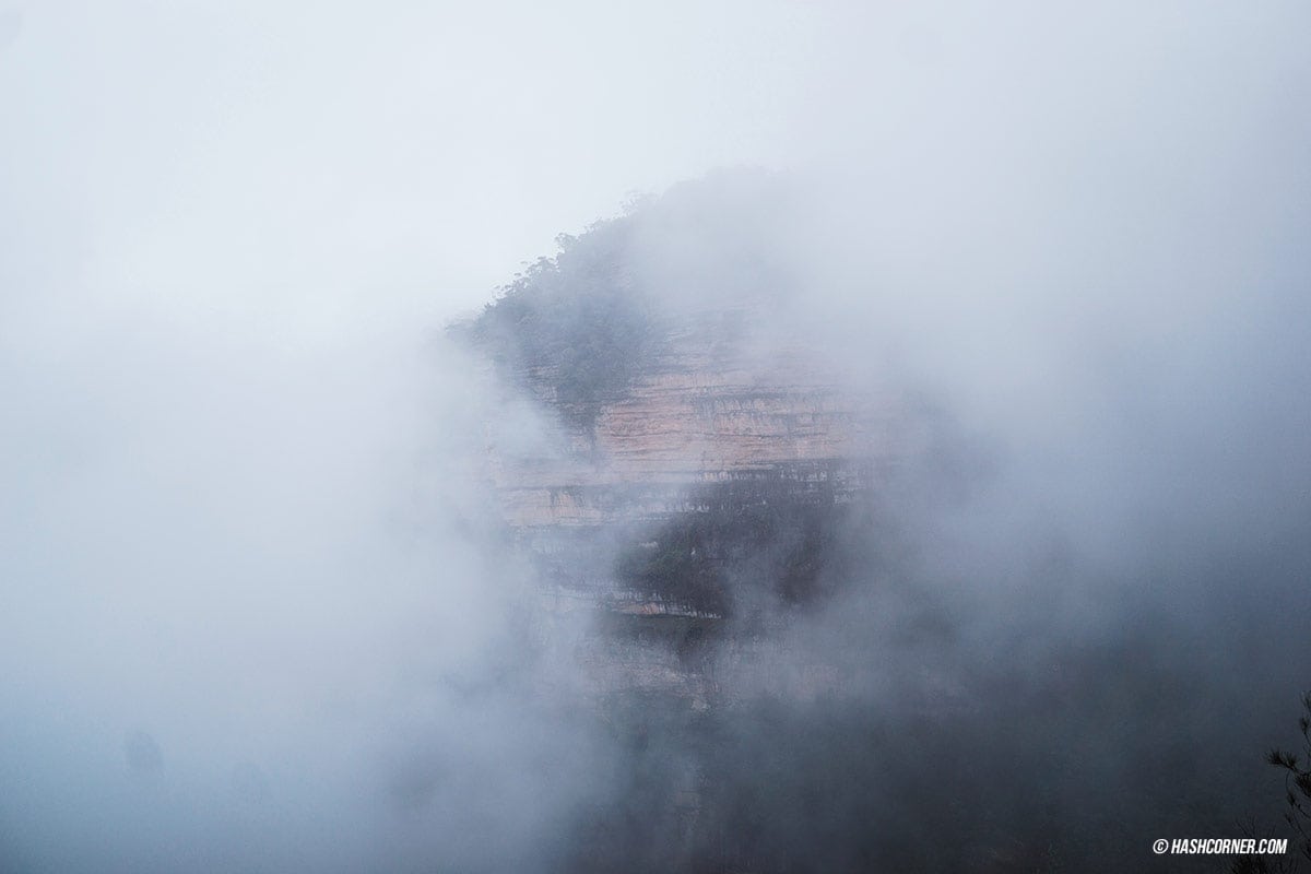 รีวิว Blue Mountains x ซิดนีย์ : เที่ยวออสเตรเลียเองแบบคูลๆ