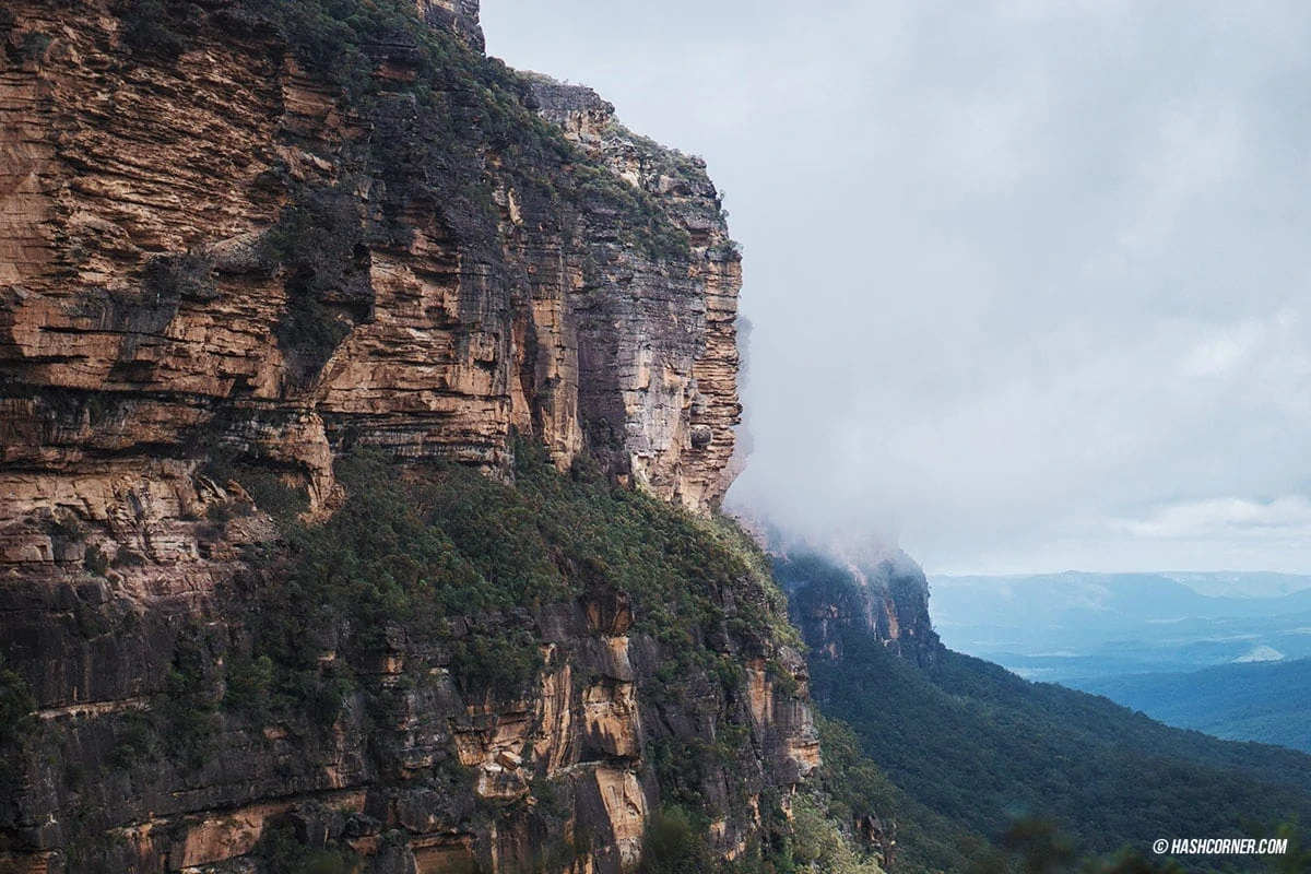 รีวิว Blue Mountains x ซิดนีย์ : เที่ยวออสเตรเลียเองแบบคูลๆ