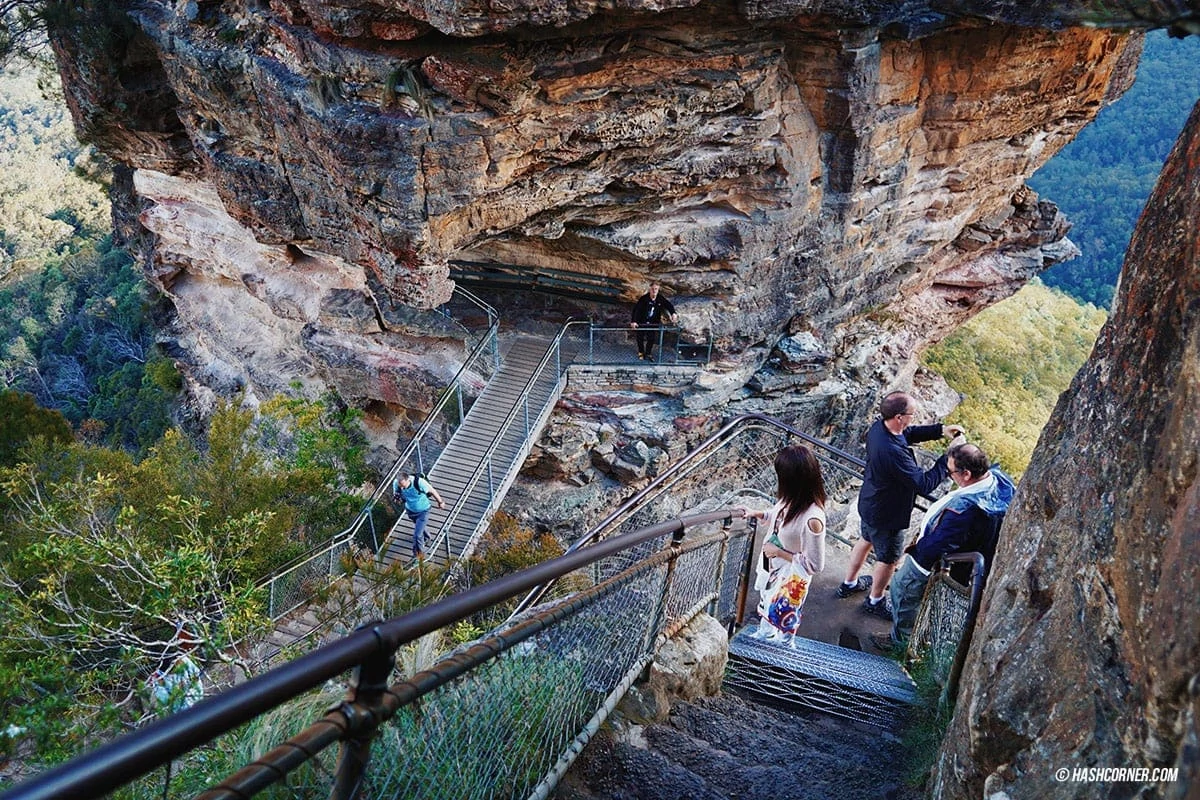 รีวิว Blue Mountains x ซิดนีย์ : เที่ยวออสเตรเลียเองแบบคูลๆ