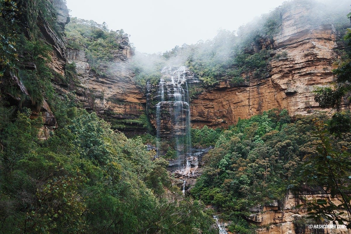 รีวิว Blue Mountains x ซิดนีย์ : เที่ยวออสเตรเลียเองแบบคูลๆ