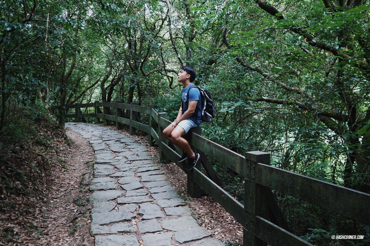รีวิว หยางหมิงซาน (Yangmingshan) เที่ยวไต้หวัน ทั่วประเทศ!