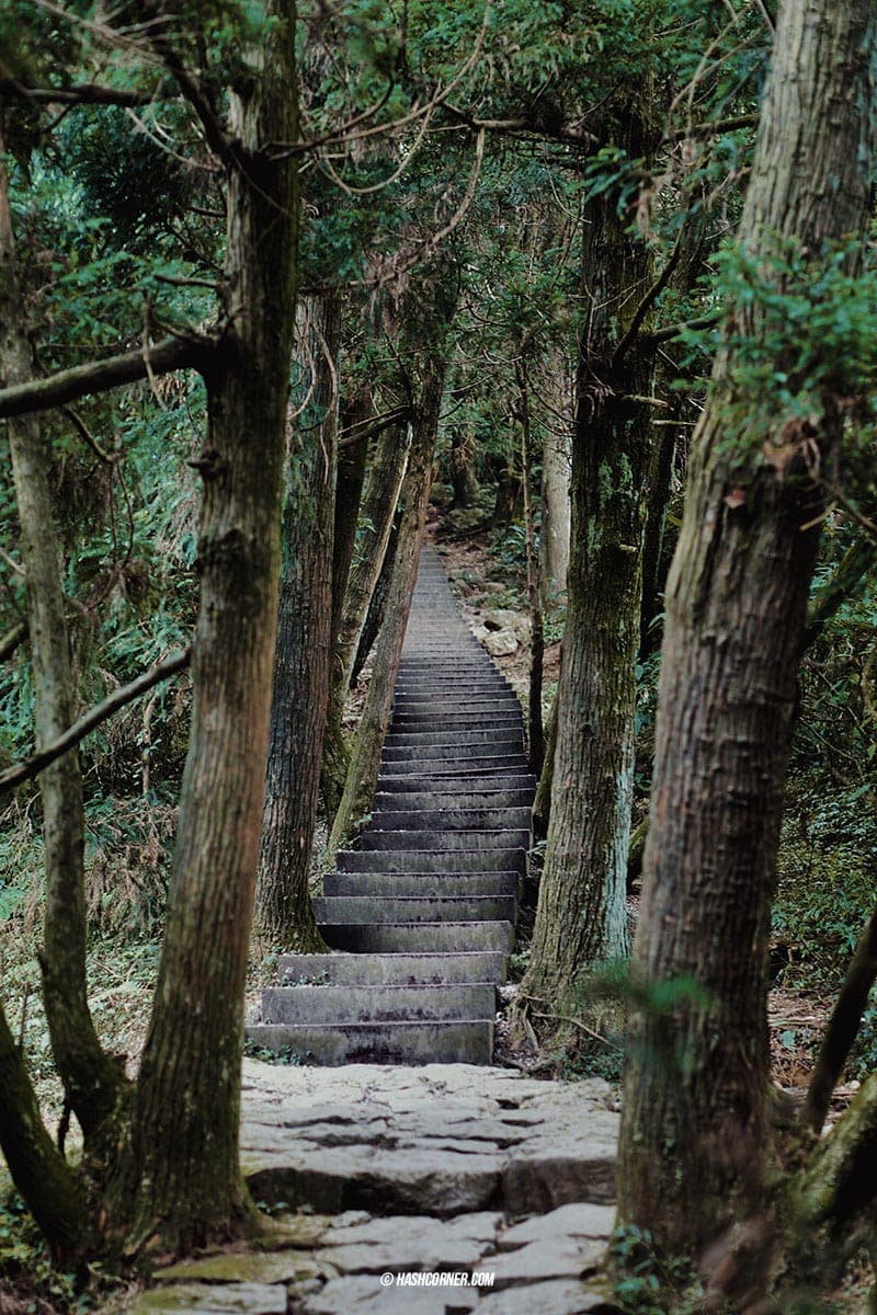 รีวิว หยางหมิงซาน (Yangmingshan) เที่ยวไต้หวัน ทั่วประเทศ!