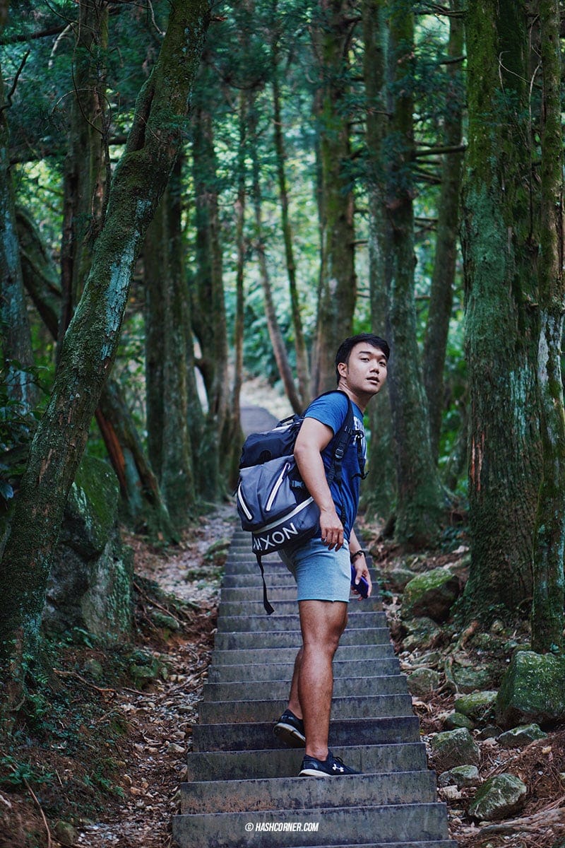รีวิว หยางหมิงซาน (Yangmingshan) เที่ยวไต้หวัน ทั่วประเทศ!