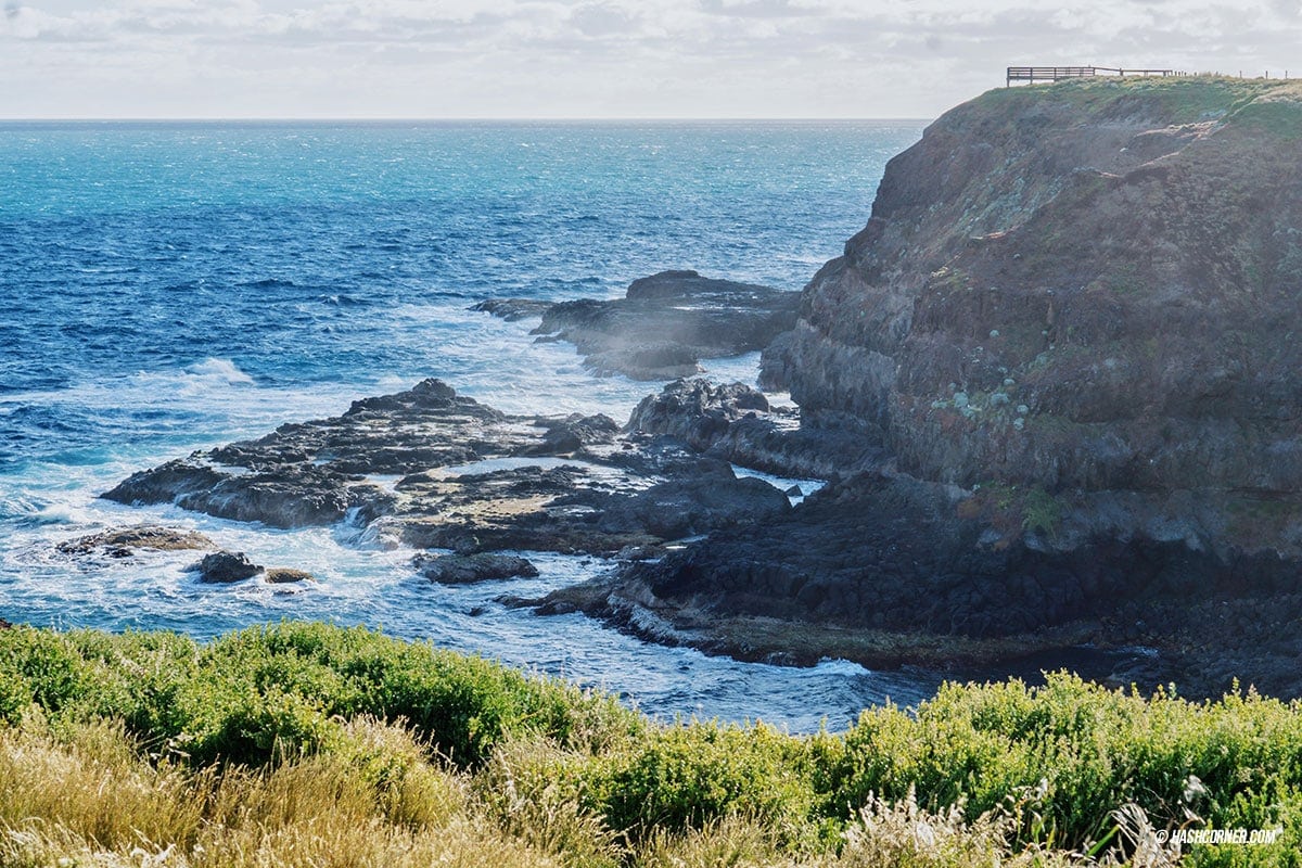 รีวิว Phillip Island (เกาะฟิลลิป) x เมลเบิร์น : เที่ยวออสเตรเลียเองแบบคูลๆ