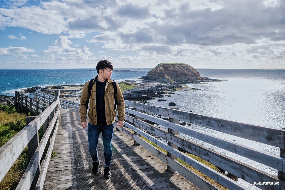 รีวิว Phillip Island (เกาะฟิลลิป) x เมลเบิร์น : เที่ยวออสเตรเลียเองแบบคูลๆ