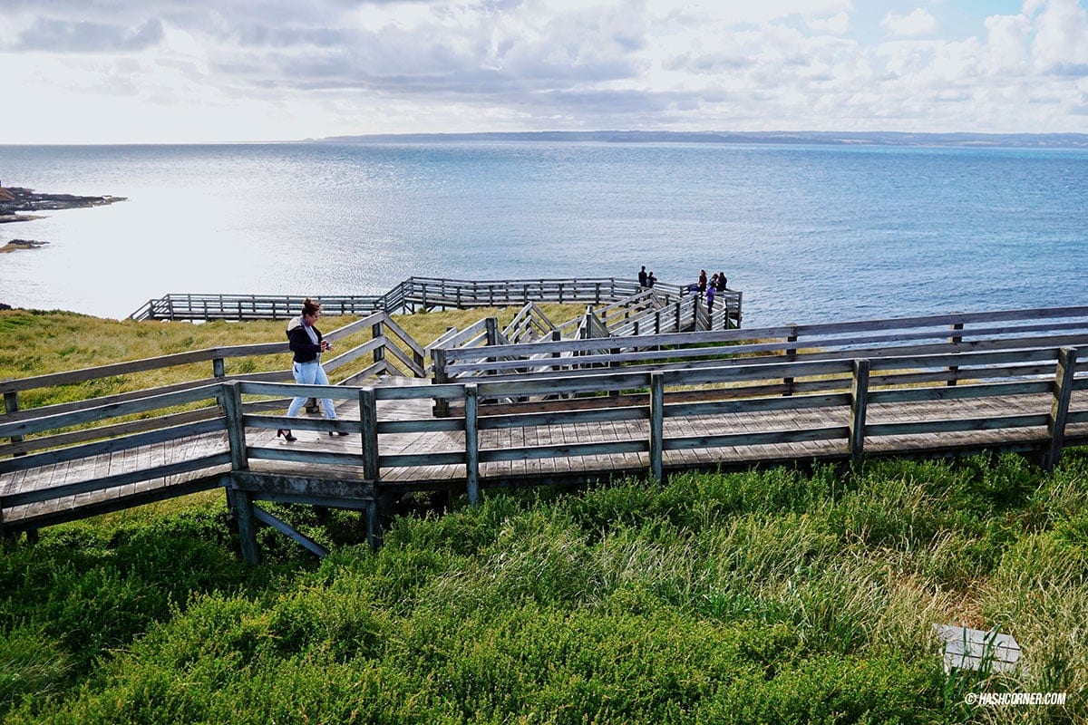 รีวิว Phillip Island (เกาะฟิลลิป) x เมลเบิร์น : เที่ยวออสเตรเลียเองแบบคูลๆ