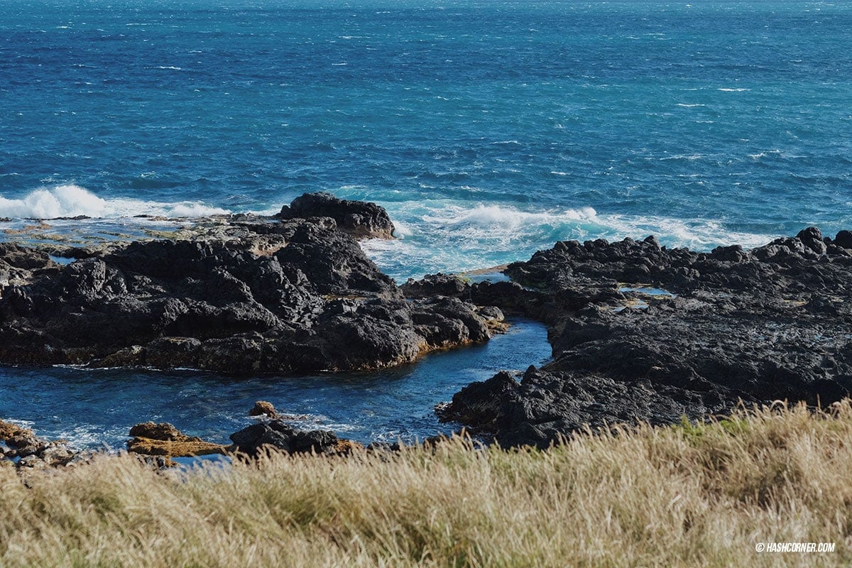 รีวิว Phillip Island (เกาะฟิลลิป) x เมลเบิร์น : เที่ยวออสเตรเลียเองแบบคูลๆ