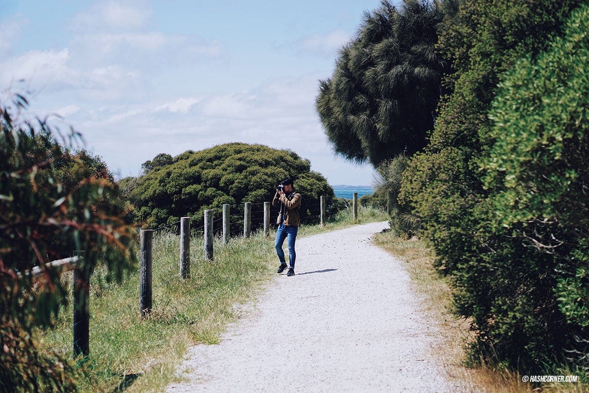 รีวิว Phillip Island (เกาะฟิลลิป) x เมลเบิร์น : เที่ยวออสเตรเลียเองแบบคูลๆ