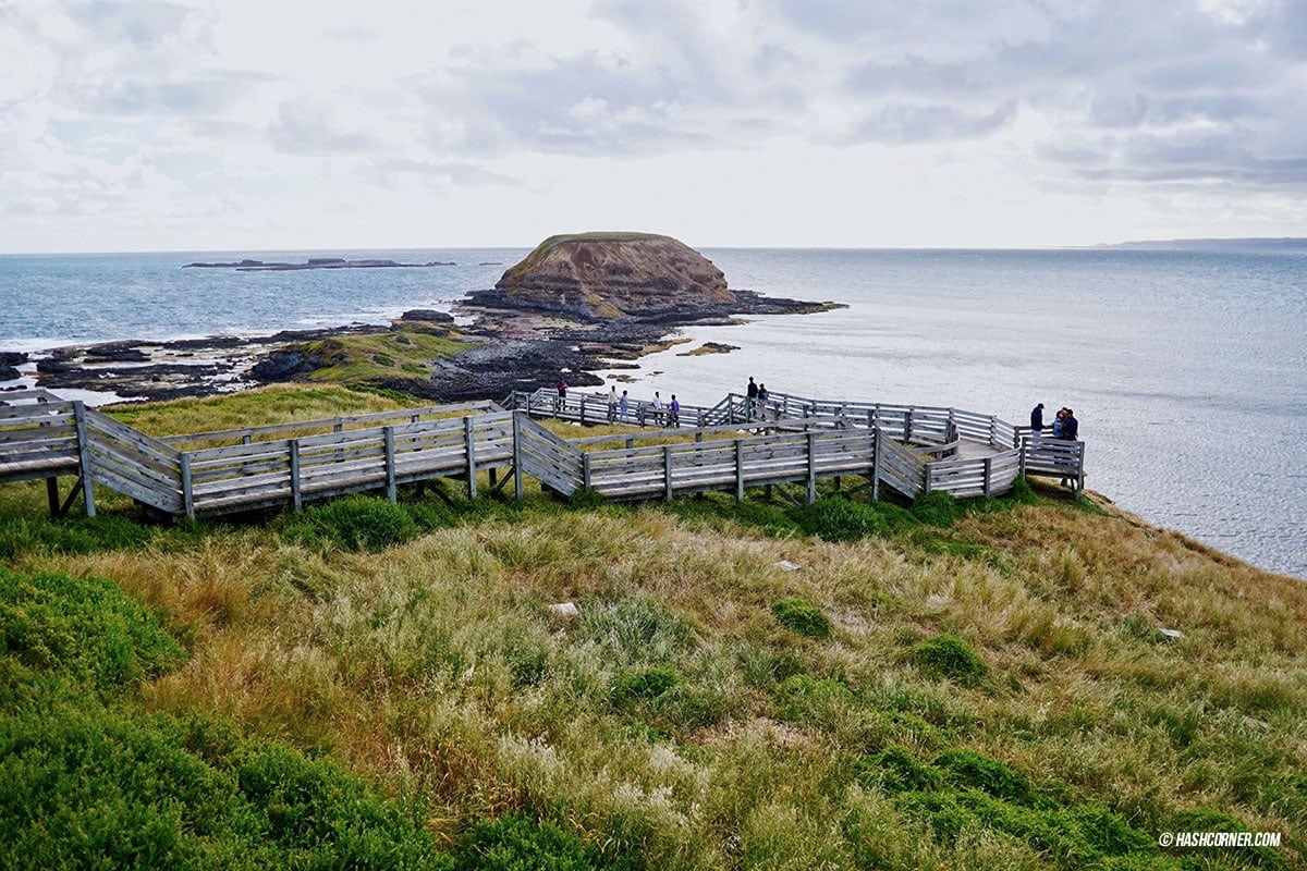 รีวิว Phillip Island (เกาะฟิลลิป) x เมลเบิร์น : เที่ยวออสเตรเลียเองแบบคูลๆ