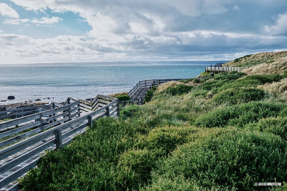 รีวิว Phillip Island (เกาะฟิลลิป) x เมลเบิร์น : เที่ยวออสเตรเลียเองแบบคูลๆ