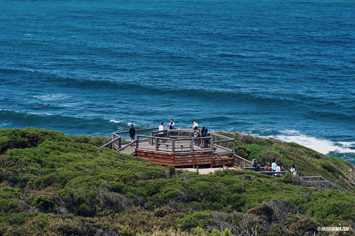 รีวิว Great Ocean Road x เมลเบิร์น : เที่ยวออสเตรเลียเองแบบคูลๆ