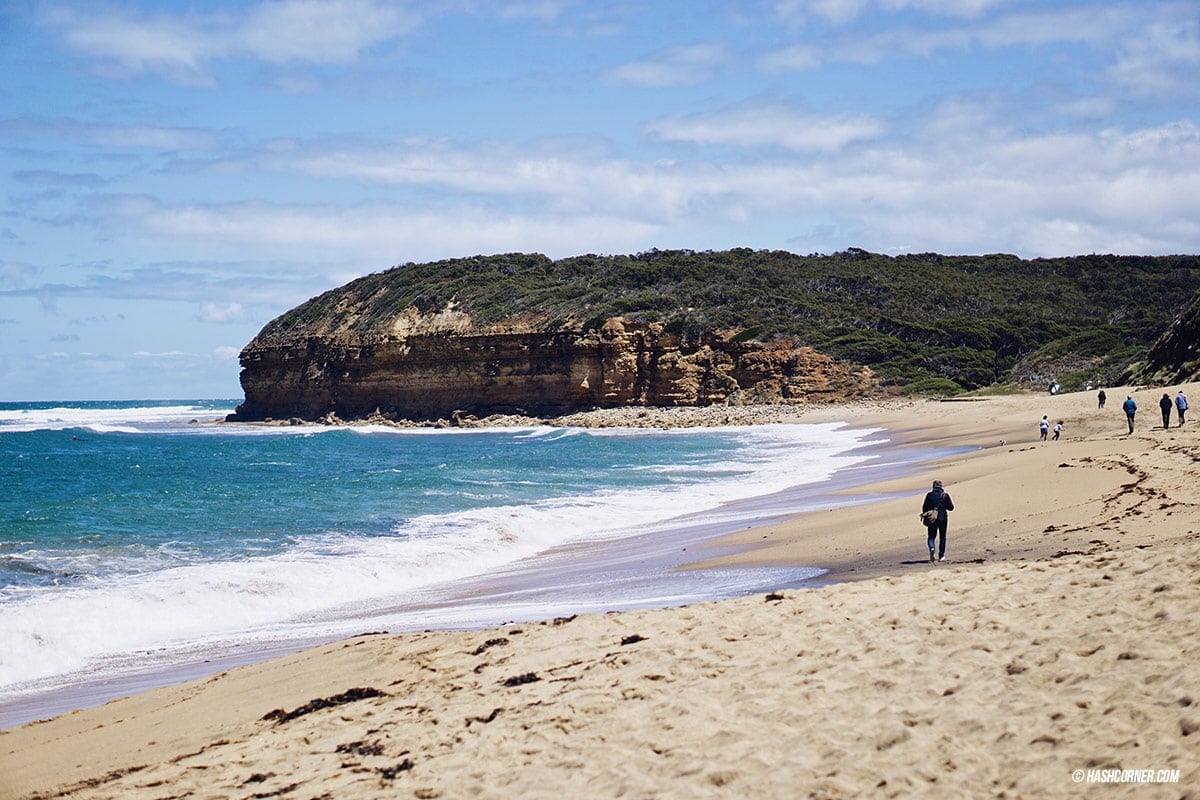 รีวิว Great Ocean Road x เมลเบิร์น : เที่ยวออสเตรเลียเองแบบคูลๆ