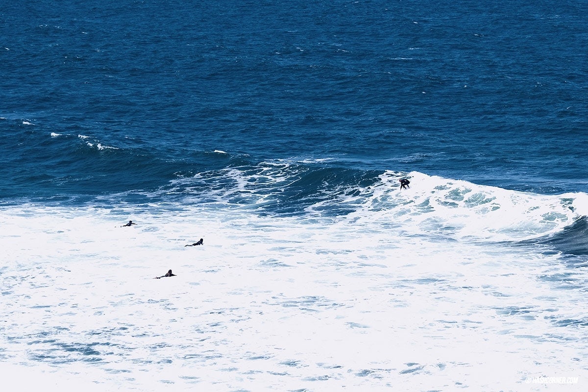 รีวิว Great Ocean Road x เมลเบิร์น : เที่ยวออสเตรเลียเองแบบคูลๆ