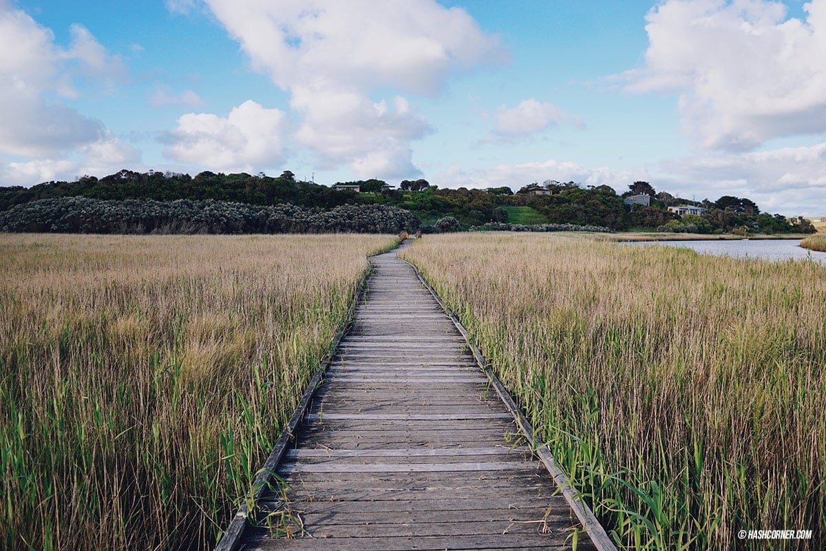 รีวิว Great Ocean Road x เมลเบิร์น : เที่ยวออสเตรเลียเองแบบคูลๆ