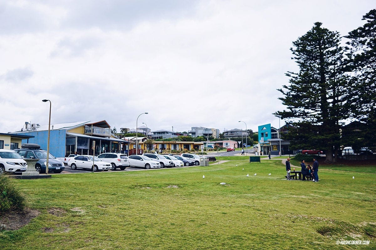 รีวิว Great Ocean Road x เมลเบิร์น : เที่ยวออสเตรเลียเองแบบคูลๆ