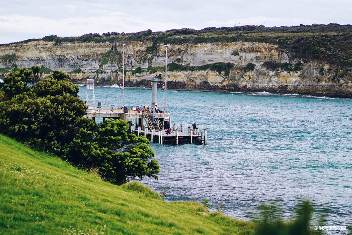 รีวิว Great Ocean Road x เมลเบิร์น : เที่ยวออสเตรเลียเองแบบคูลๆ