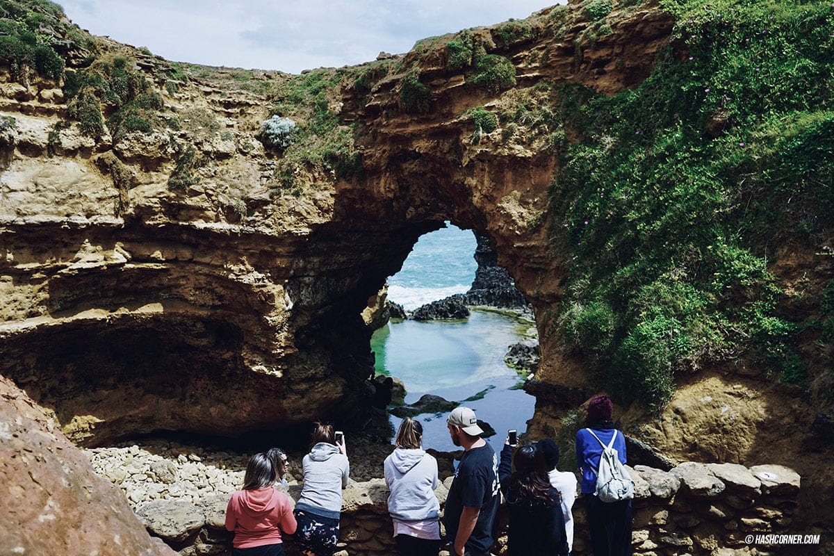 รีวิว Great Ocean Road x เมลเบิร์น : เที่ยวออสเตรเลียเองแบบคูลๆ