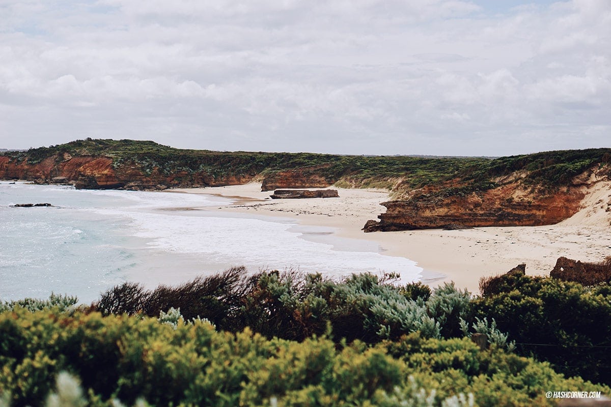 รีวิว Great Ocean Road x เมลเบิร์น : เที่ยวออสเตรเลียเองแบบคูลๆ