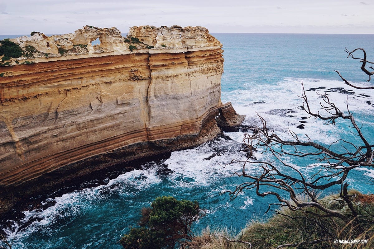 รีวิว Great Ocean Road x เมลเบิร์น : เที่ยวออสเตรเลียเองแบบคูลๆ