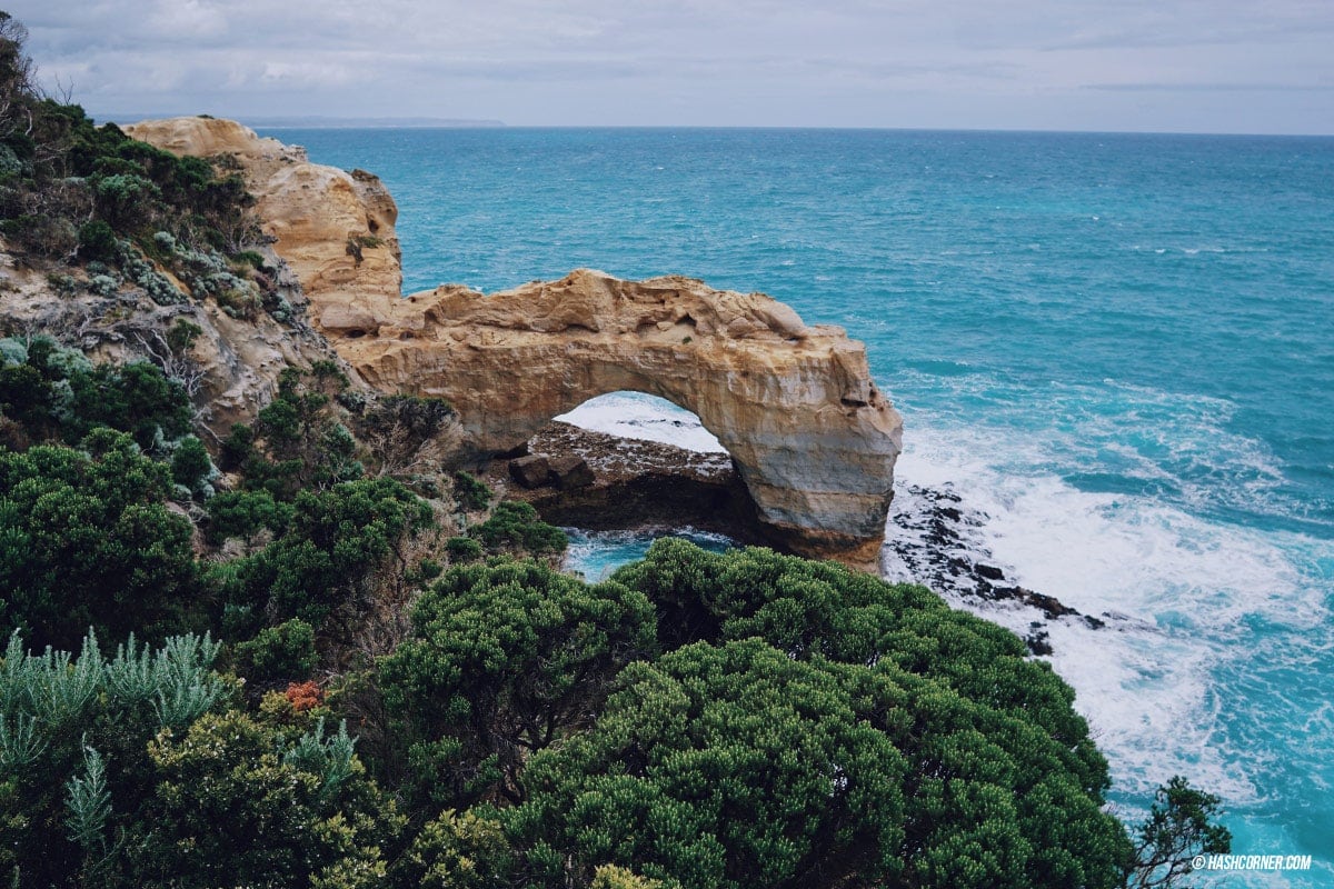 รีวิว Great Ocean Road x เมลเบิร์น : เที่ยวออสเตรเลียเองแบบคูลๆ