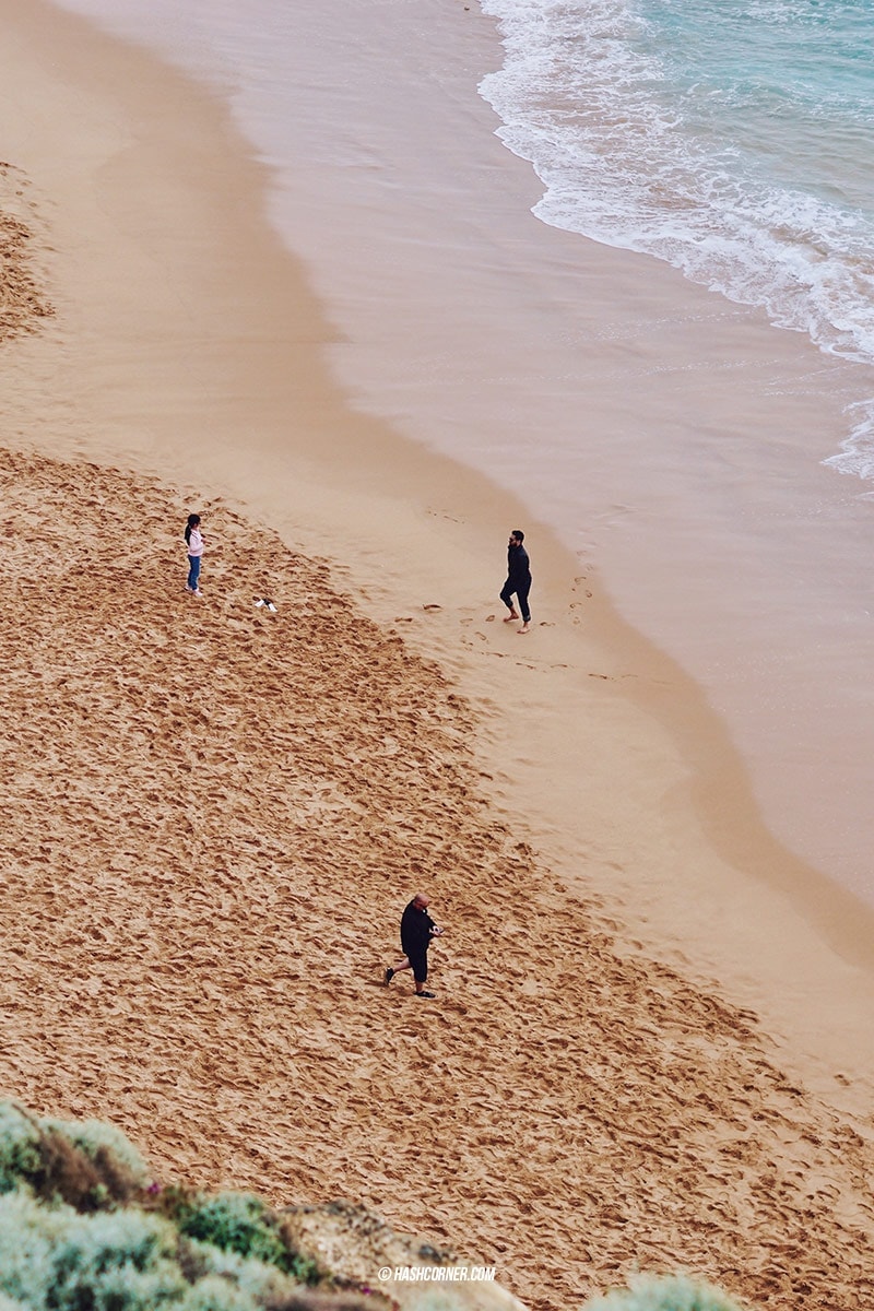 รีวิว Great Ocean Road x เมลเบิร์น : เที่ยวออสเตรเลียเองแบบคูลๆ