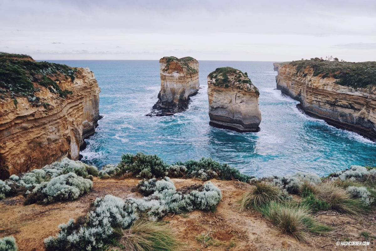 รีวิว Great Ocean Road x เมลเบิร์น : เที่ยวออสเตรเลียเองแบบคูลๆ