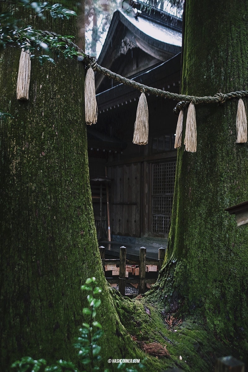 Takachiho Travel Guide : Boating in The Mysterious George