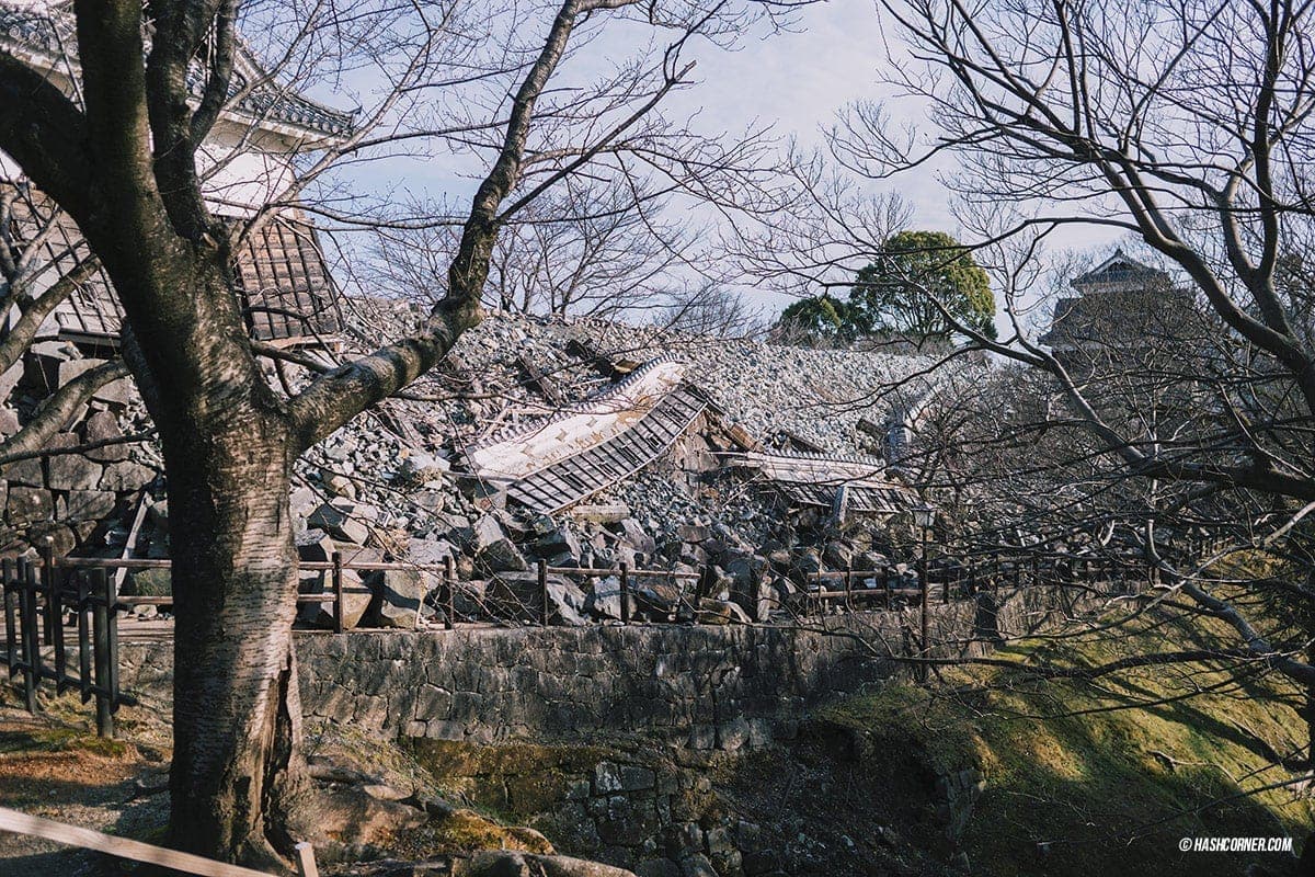 รีวิว คุมาโมโตะ (Kumamoto) x คิวชู เที่ยวญี่ปุ่นเก่ง