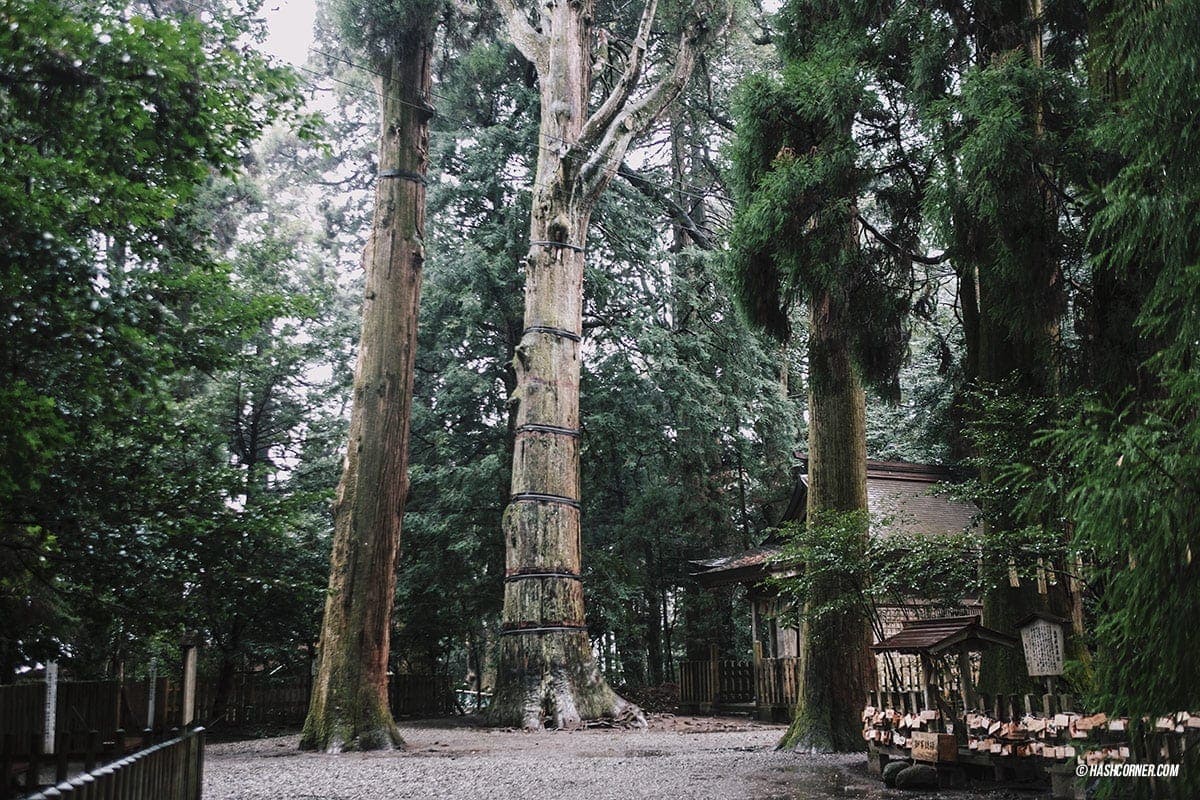 รีวิว ทาคาชิโฮ (Takachiho) x คิวชู ญี่ปุ่นสไตล์เที่ยวเก่ง
