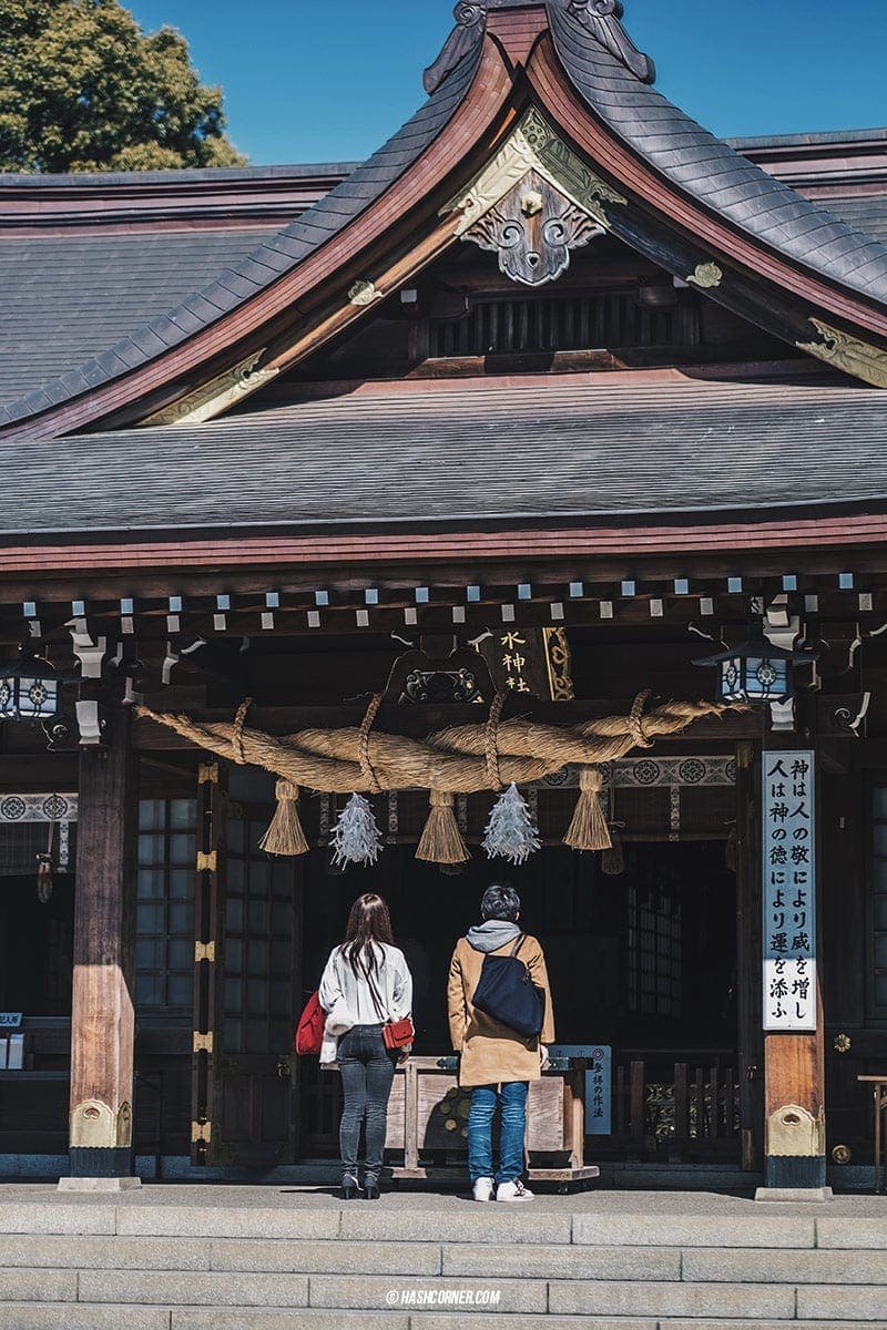 Kumamoto Travel Guide: An In-Depth Review of the City’s Must-See Attractions
