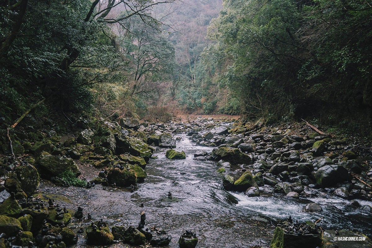 รีวิว ทาคาชิโฮ (Takachiho) x คิวชู ญี่ปุ่นสไตล์เที่ยวเก่ง