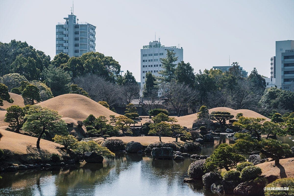 Kumamoto Travel Guide: An In-Depth Review of the City&#8217;s Must-See Attractions