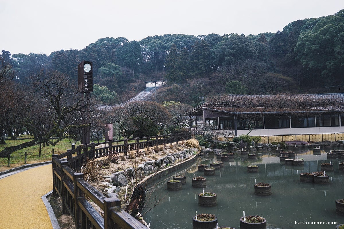 รีวิว ฟุกุโอกะ (Fukuoka) : 8 ที่เที่ยว ครบเครื่องเมืองหลักคิวชู