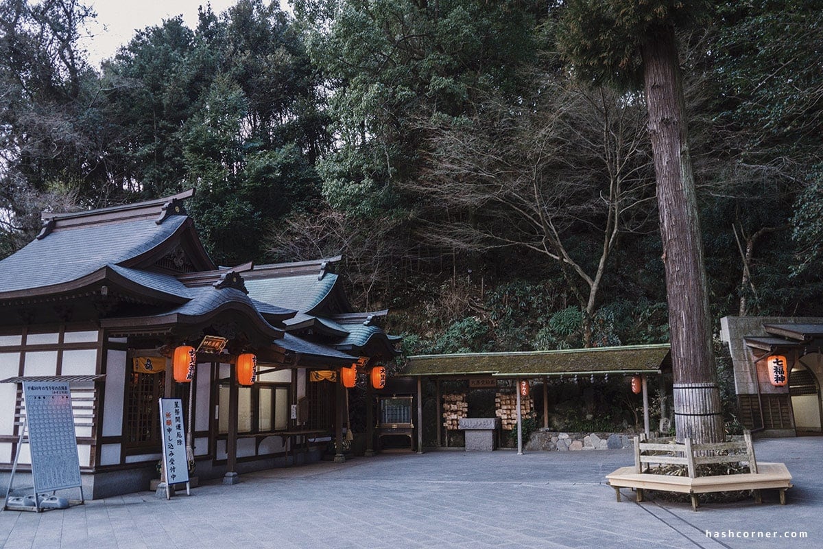 รีวิว ฟุกุโอกะ (Fukuoka) : 8 ที่เที่ยว ครบเครื่องเมืองหลักคิวชู