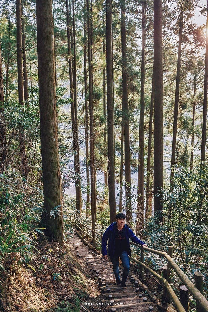 รีวิว ฟุกุโอกะ (Fukuoka) : 8 ที่เที่ยว ครบเครื่องเมืองหลักคิวชู