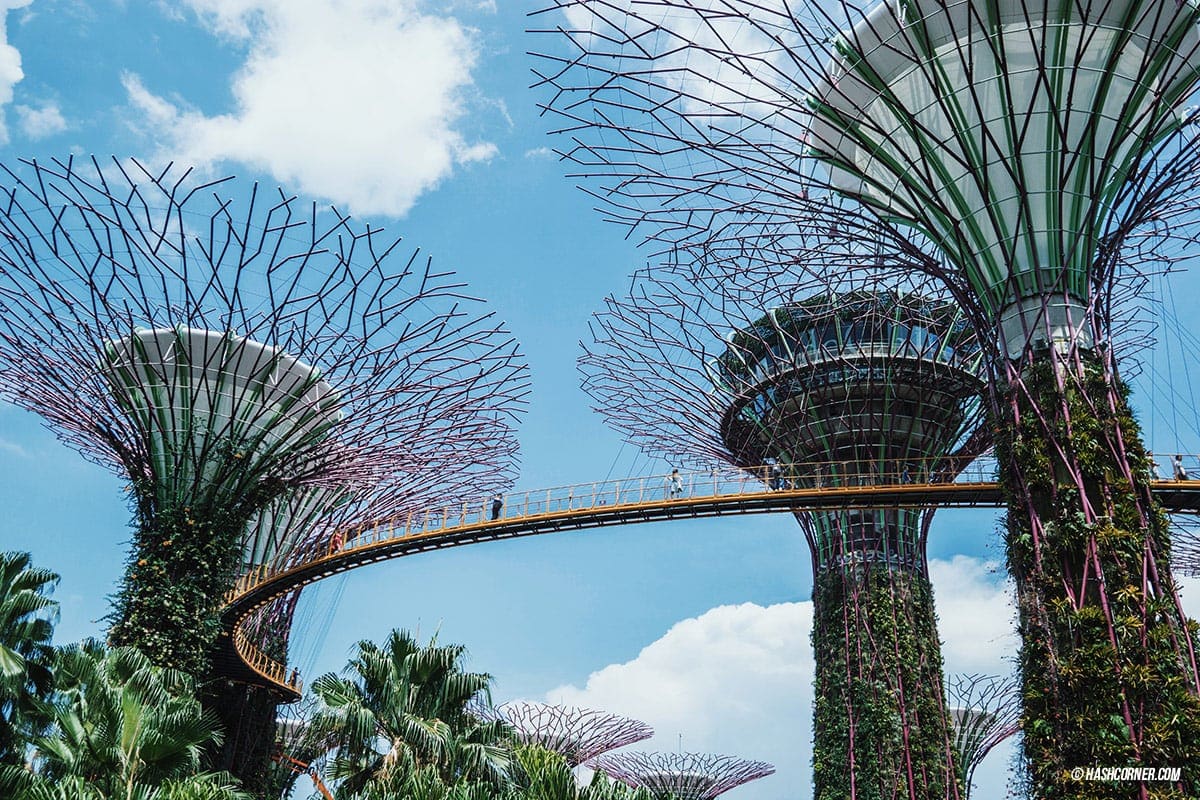 รีวิว สิงคโปร์ (Singapore) เที่ยวเก่ง-ถ่ายเก่ง ลงรูปโซเชียลคูลๆ