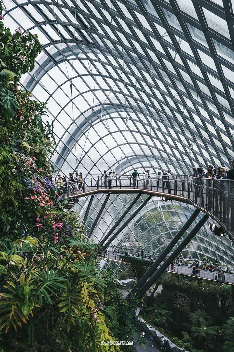 รีวิว สิงคโปร์ (Singapore) เที่ยวเก่ง-ถ่ายเก่ง ลงรูปโซเชียลคูลๆ