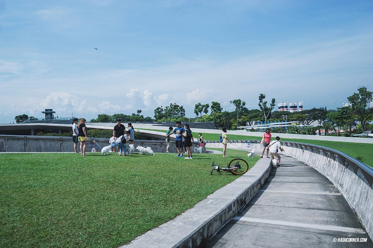 รีวิว สิงคโปร์ (Singapore) เที่ยวเก่ง-ถ่ายเก่ง ลงรูปโซเชียลคูลๆ