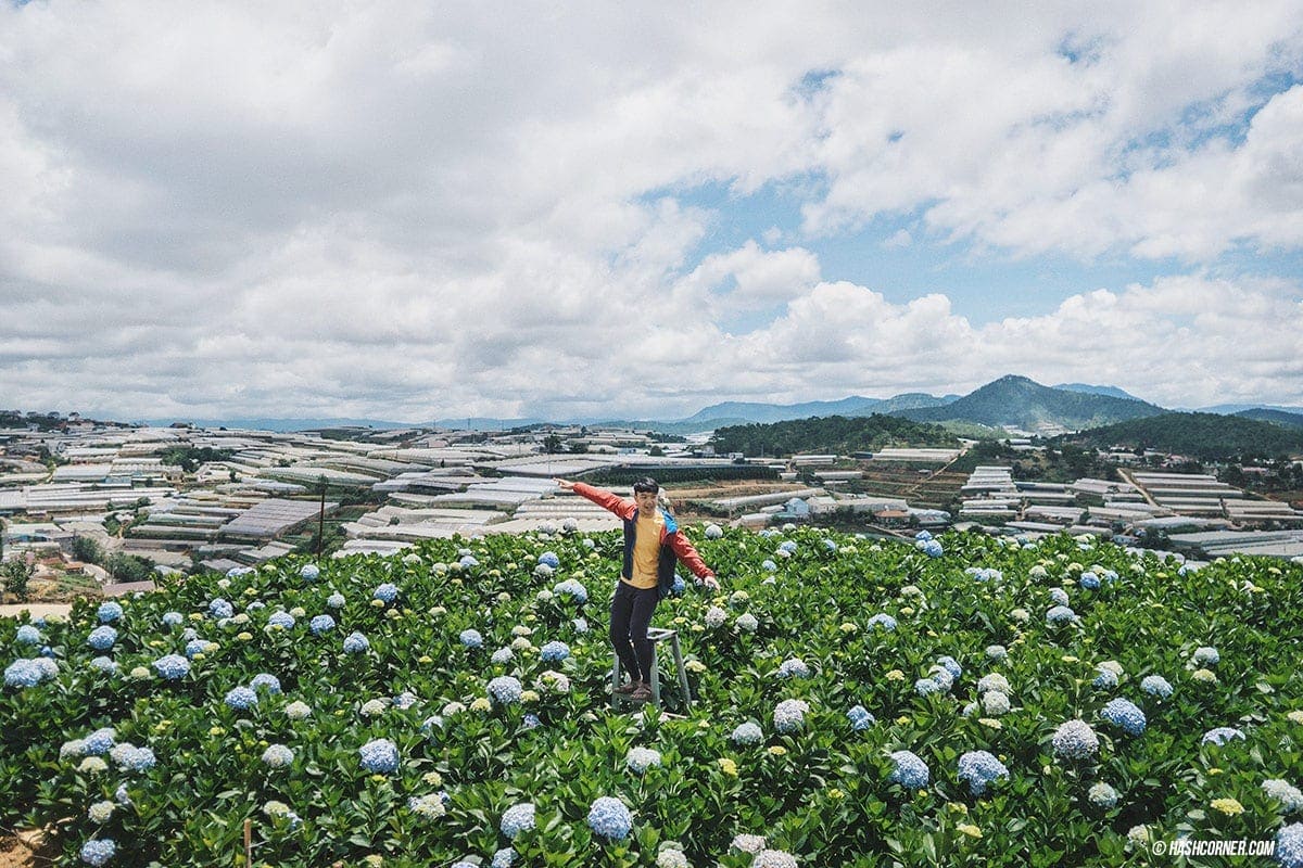 Da Lat x Vietnam : The Charming Instagramable City
