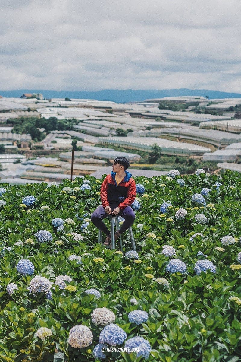 Da Lat x Vietnam : The Charming Instagramable City