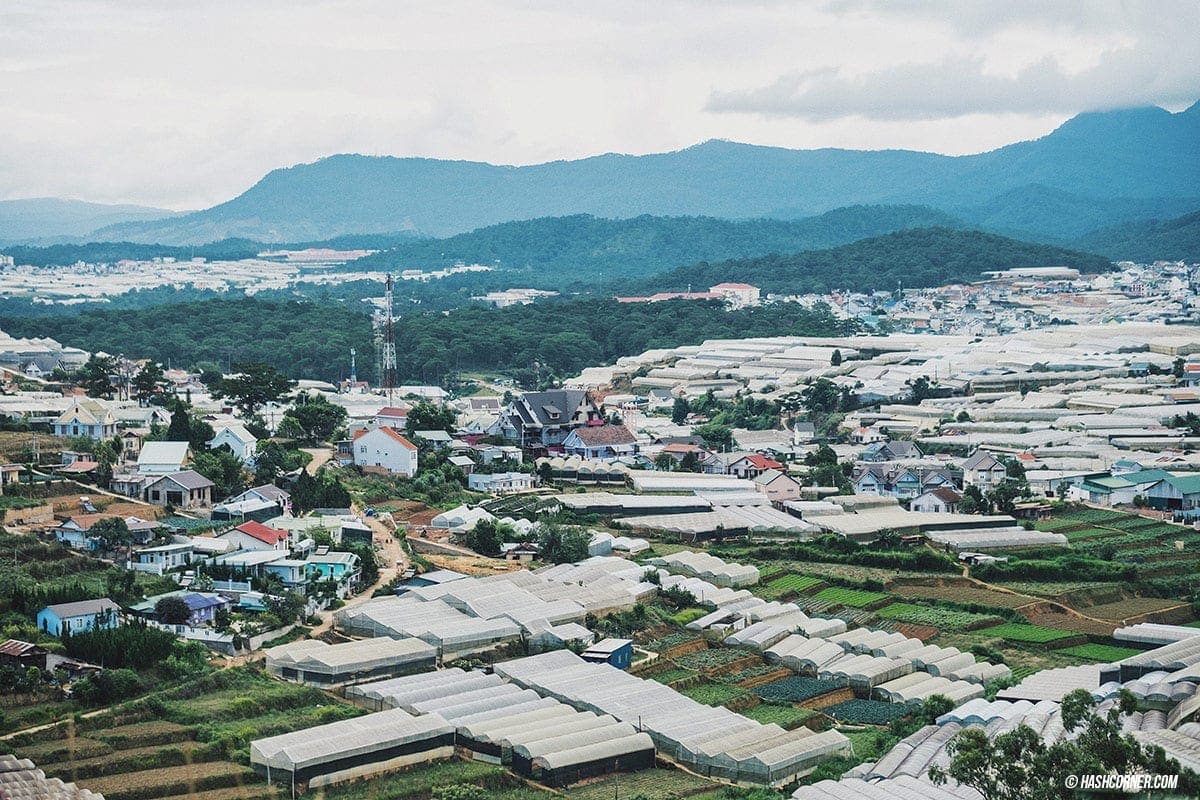 Da Lat x Vietnam : The Charming Instagramable City