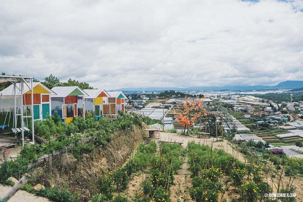 Da Lat x Vietnam : The Charming Instagramable City