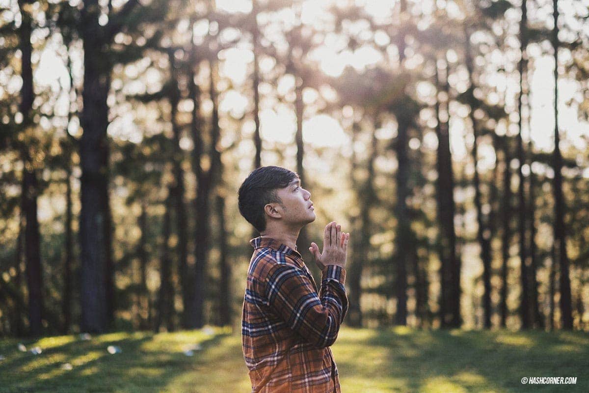 Da Lat x Vietnam : The Charming Instagramable City