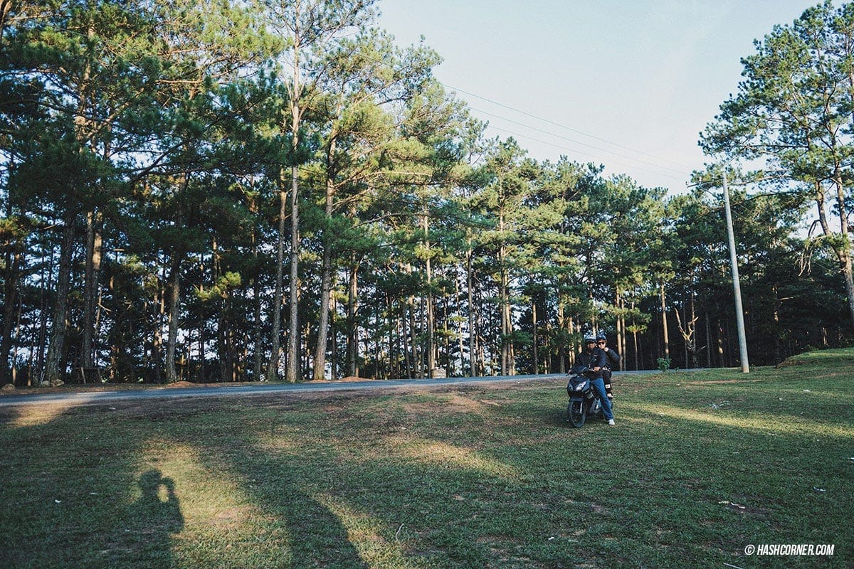 Da Lat x Vietnam : The Charming Instagramable City
