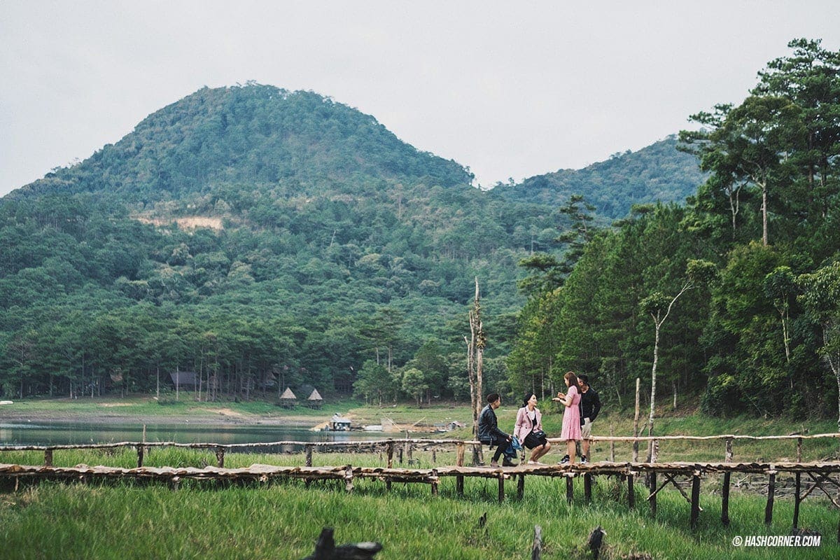 Da Lat x Vietnam : The Charming Instagramable City