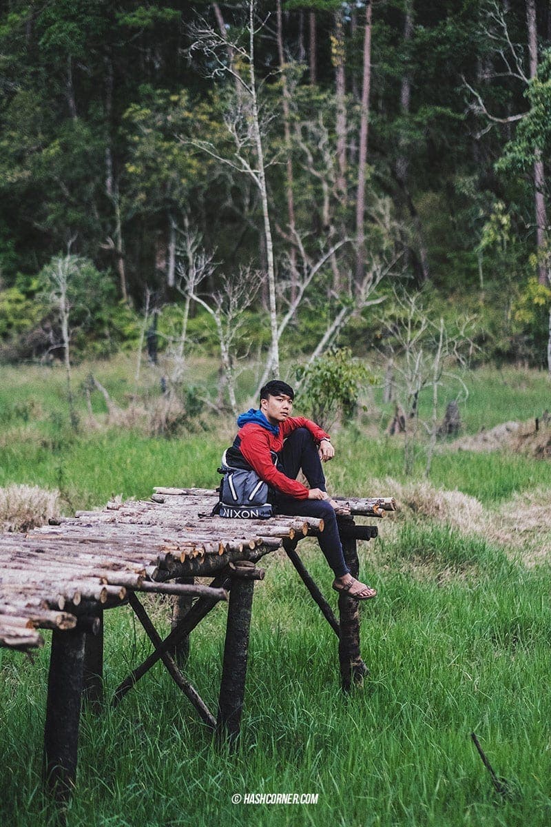 Da Lat x Vietnam : The Charming Instagramable City